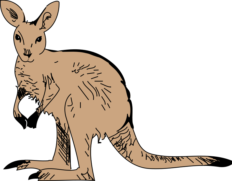 Jumping Kangaroo Clipart