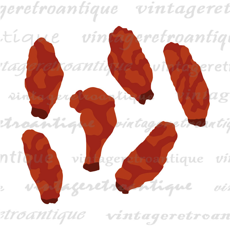 clipart chicken wings - photo #14