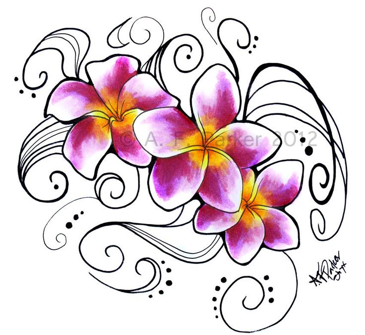 Plumeria 'J-105' Flower Tattoo Design - Original Artwork
