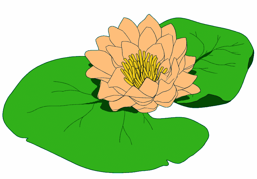 Lily Pad Flower Clip Art - ClipArt Best