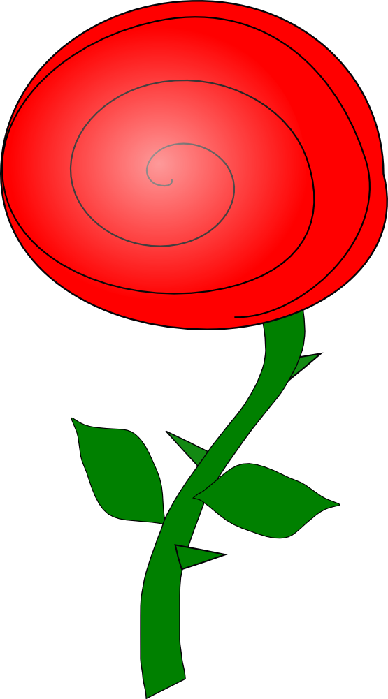 SVG Rose xochi.info scallywag Flower Plant xochi.