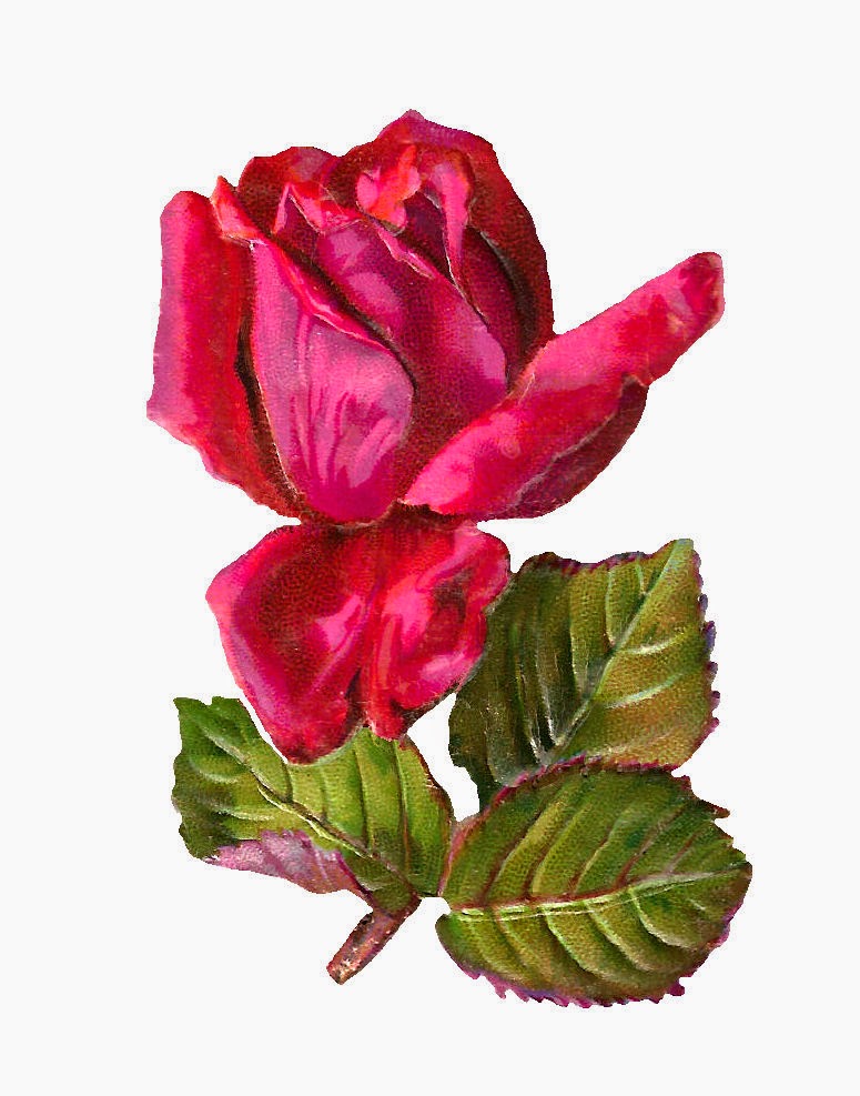 Antique Images: Free Digital Rose Clip Art: Red Rose Graphic with ...