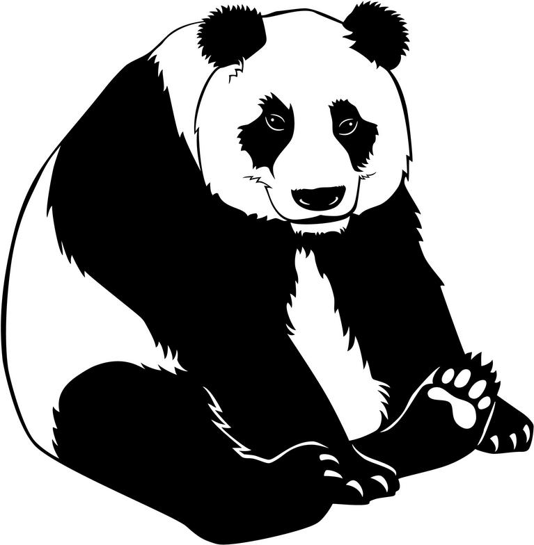 Panda Bear Cartoon Pictures - Cliparts.co