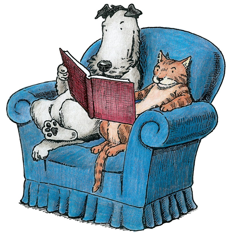 Cat & Dog Storytime : Sturdy for Common Things