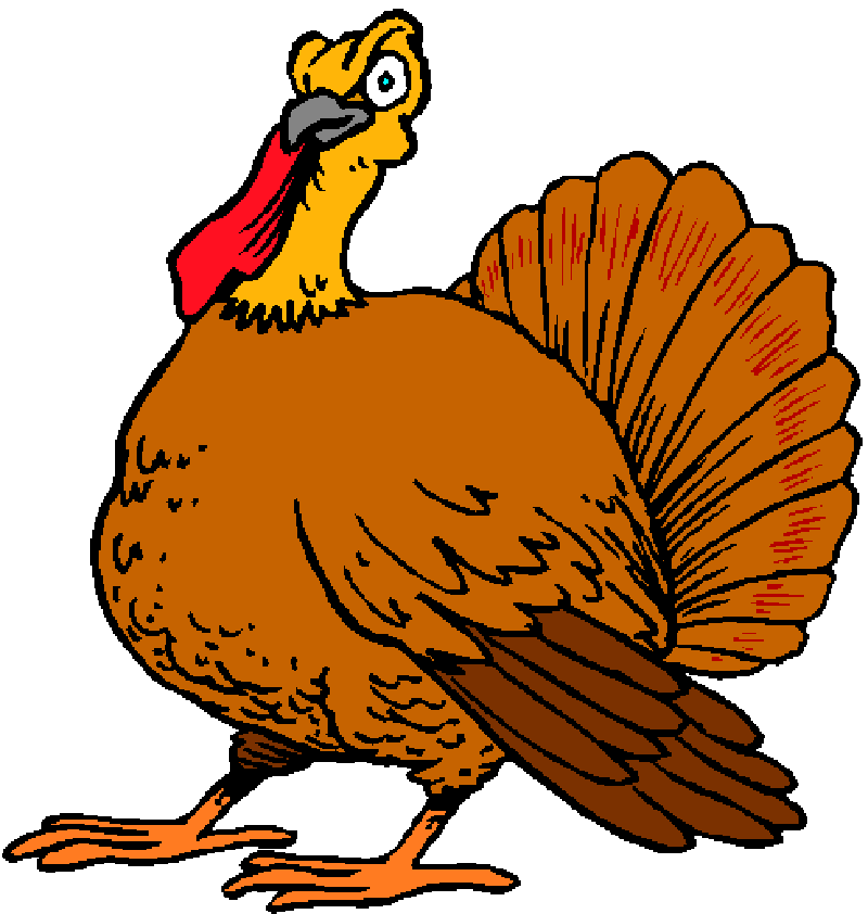 Thanksgiving Turkey | Photo Galleries and Wallpapers