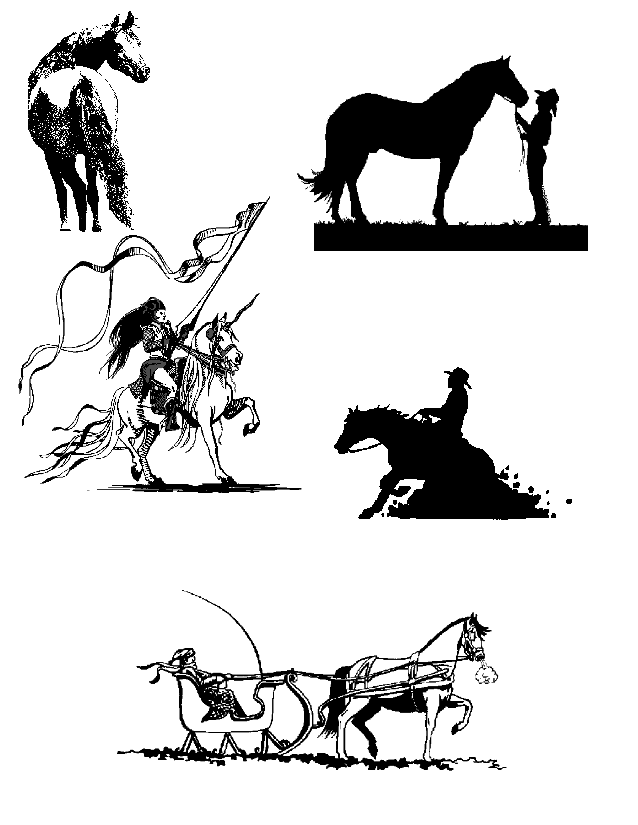 Horse Clip Art and Equestrian Graphics