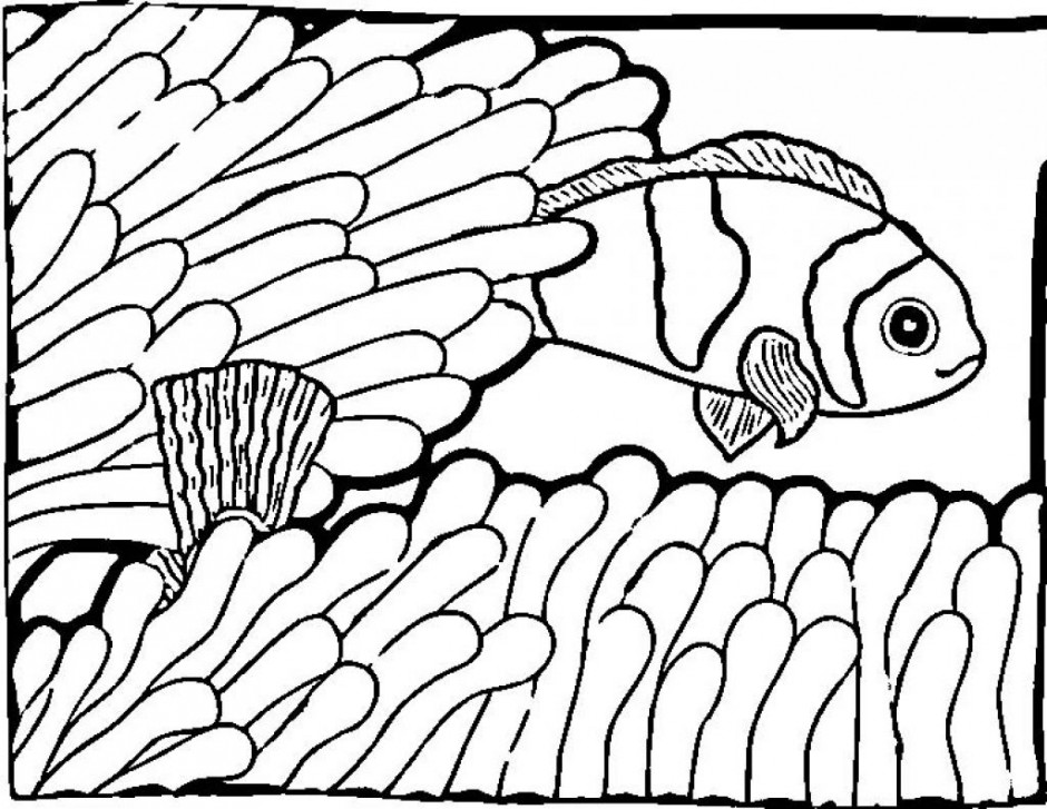 Fish Printable Coloring Pages Clown Fish Printable Coloring 237904 ...