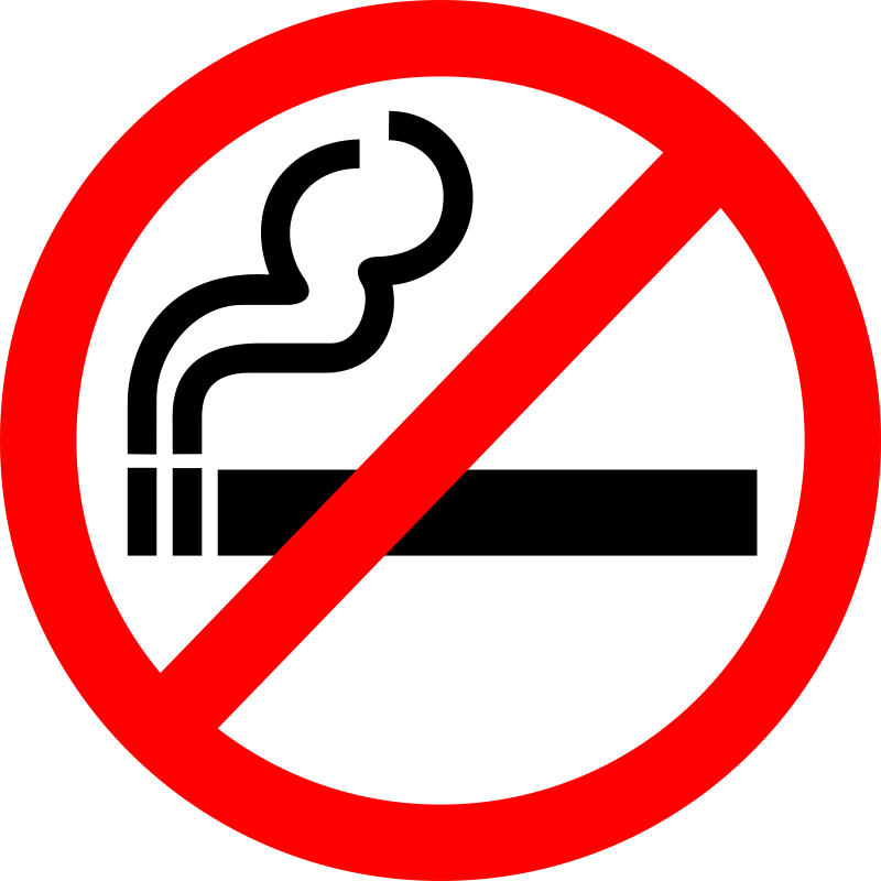 Bans on Smoking in the Car With Kids | Woman Issue