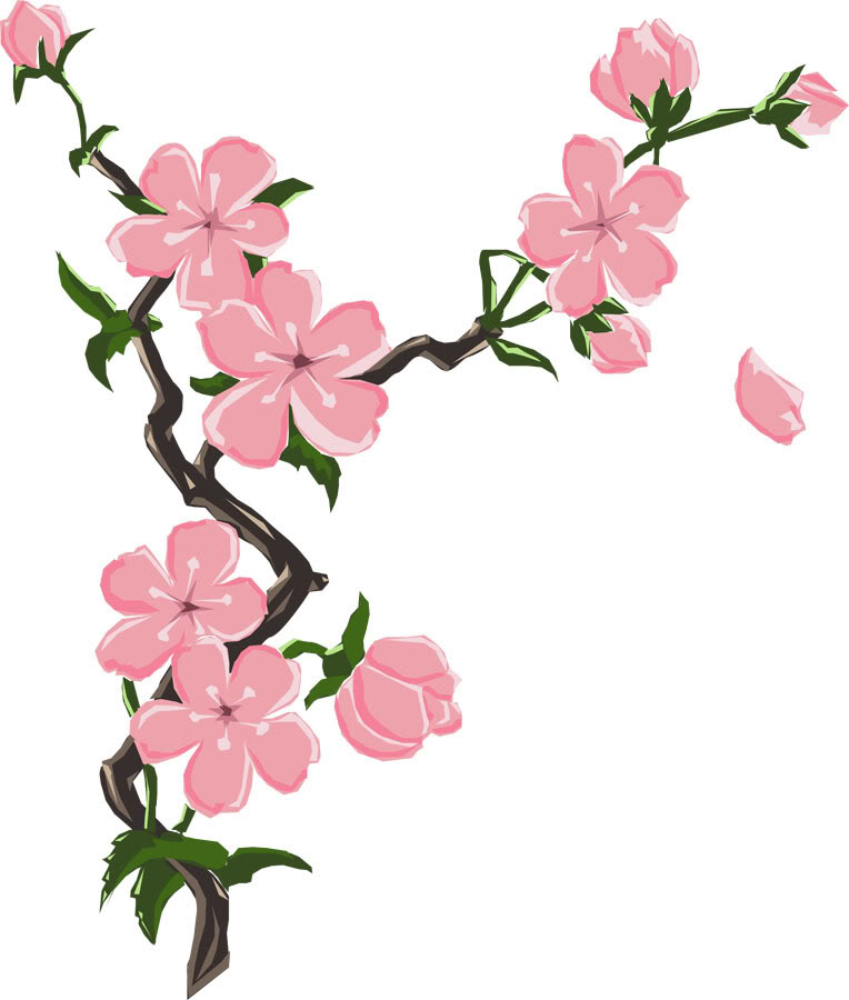 Clip Art Cherry Blossom - Cliparts.co