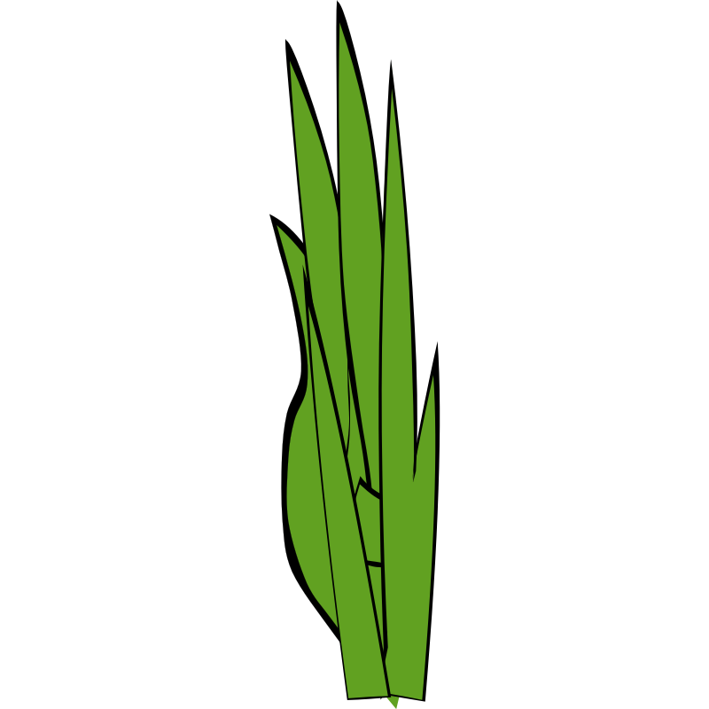 Clipart - Grass Blades and Clumps 5