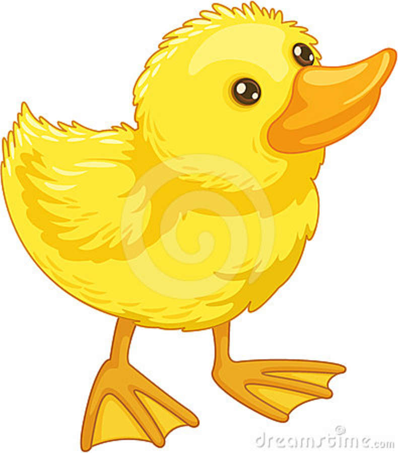 Cute Duck Cartoon Images & Pictures - Becuo