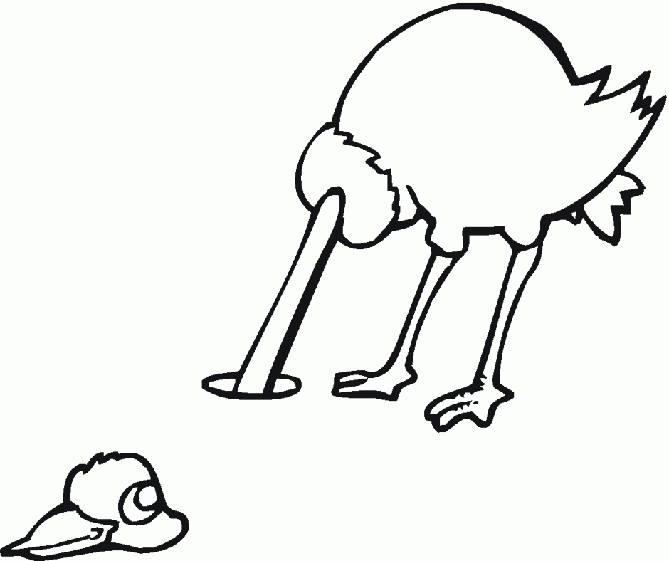 Cartoon Of A Cute Black And White Baby Ostrich Royalty Free 282809 ...