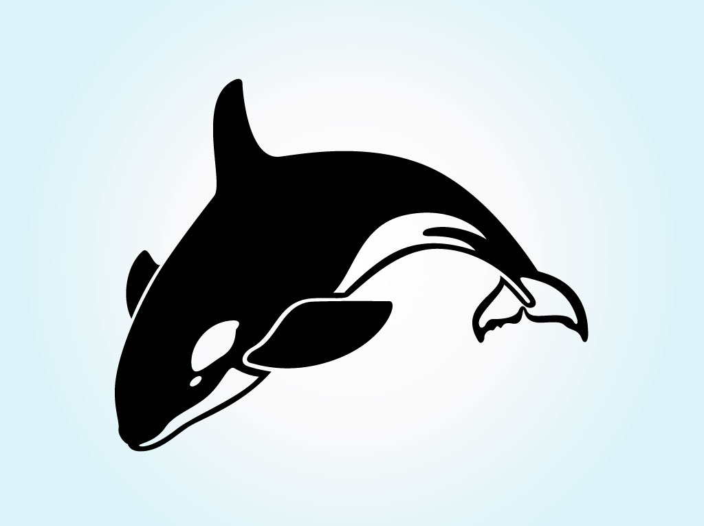 Orca whale clip art