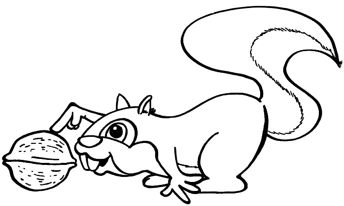 cute squirrel Colouring Pages (page 3)