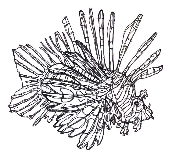 Free coloring pages of a lionfish