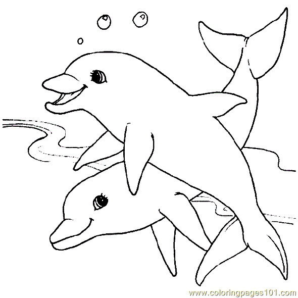 Dolphin Coloring Page 15 coloring page - Free Printable Coloring Pages