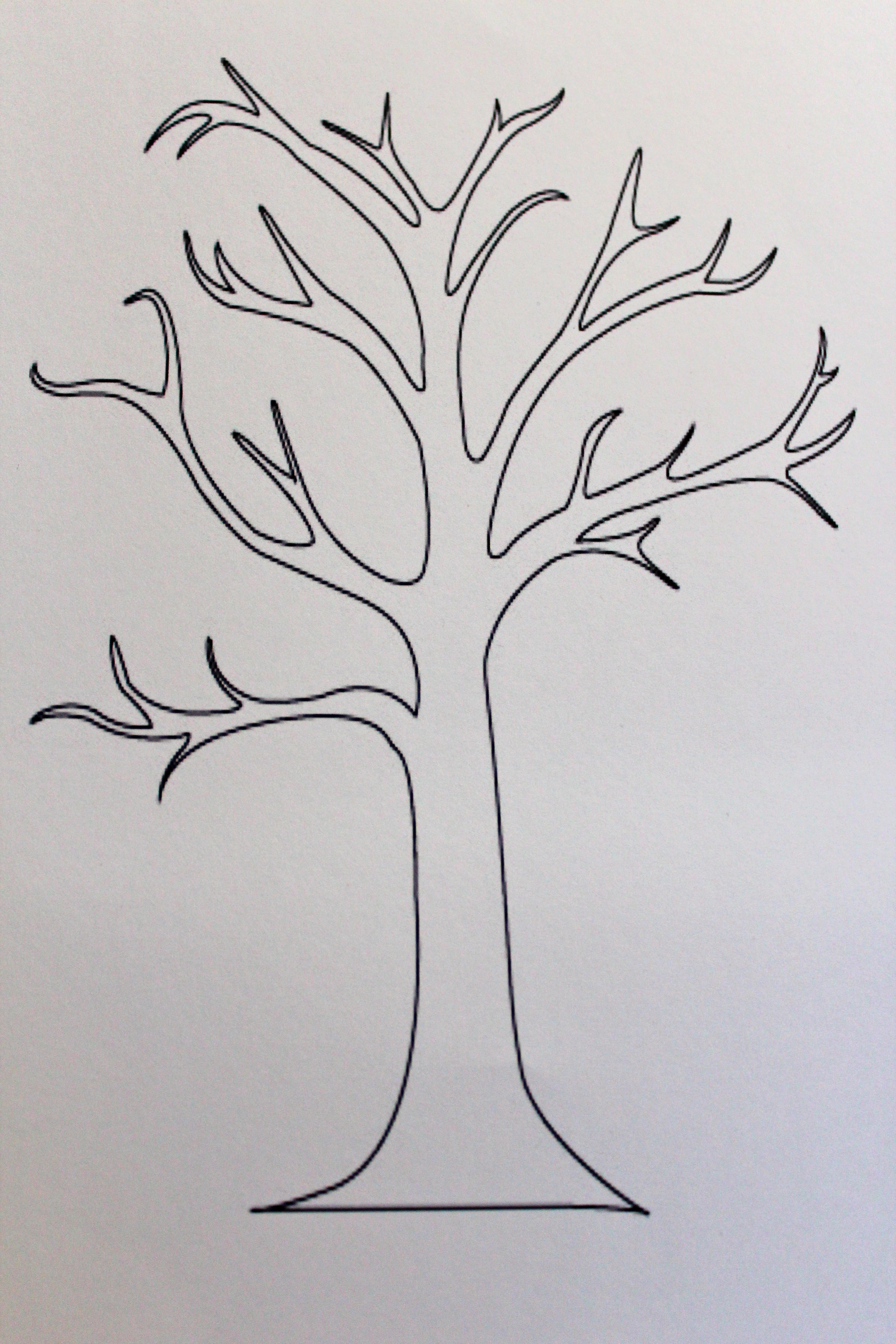 tree outline