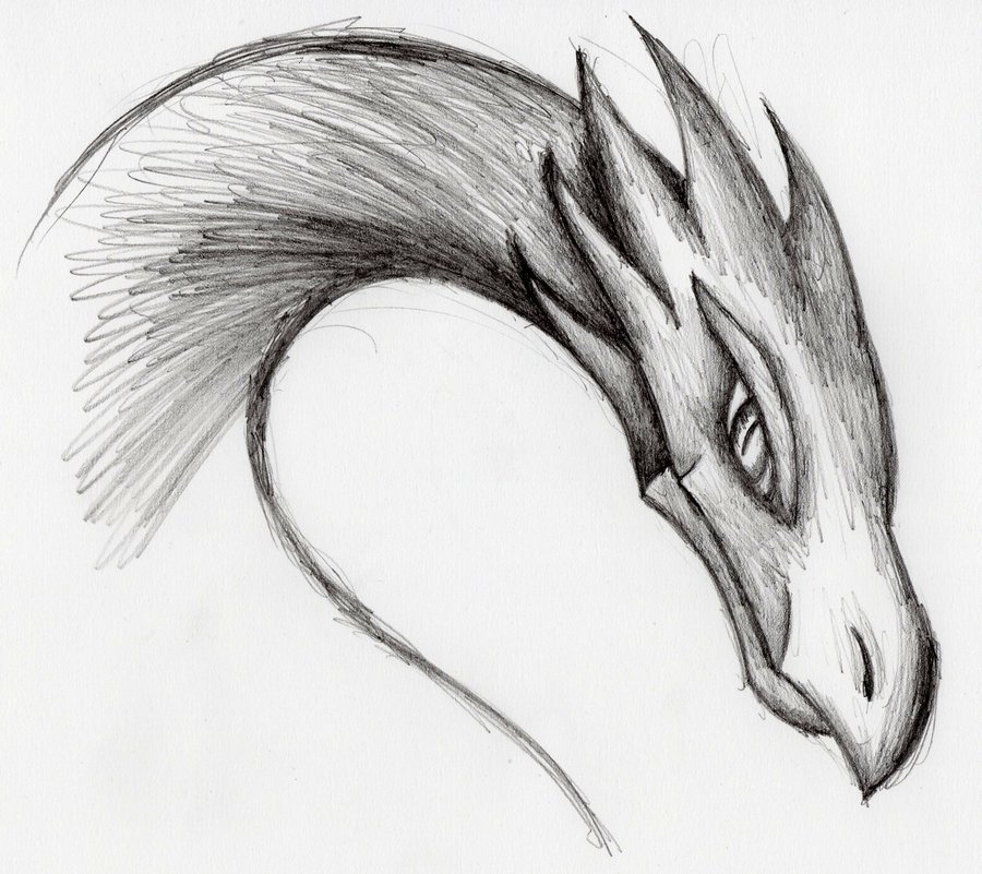 Dragon Drawing Related Keywords & Suggestions - Dragon Drawing ...