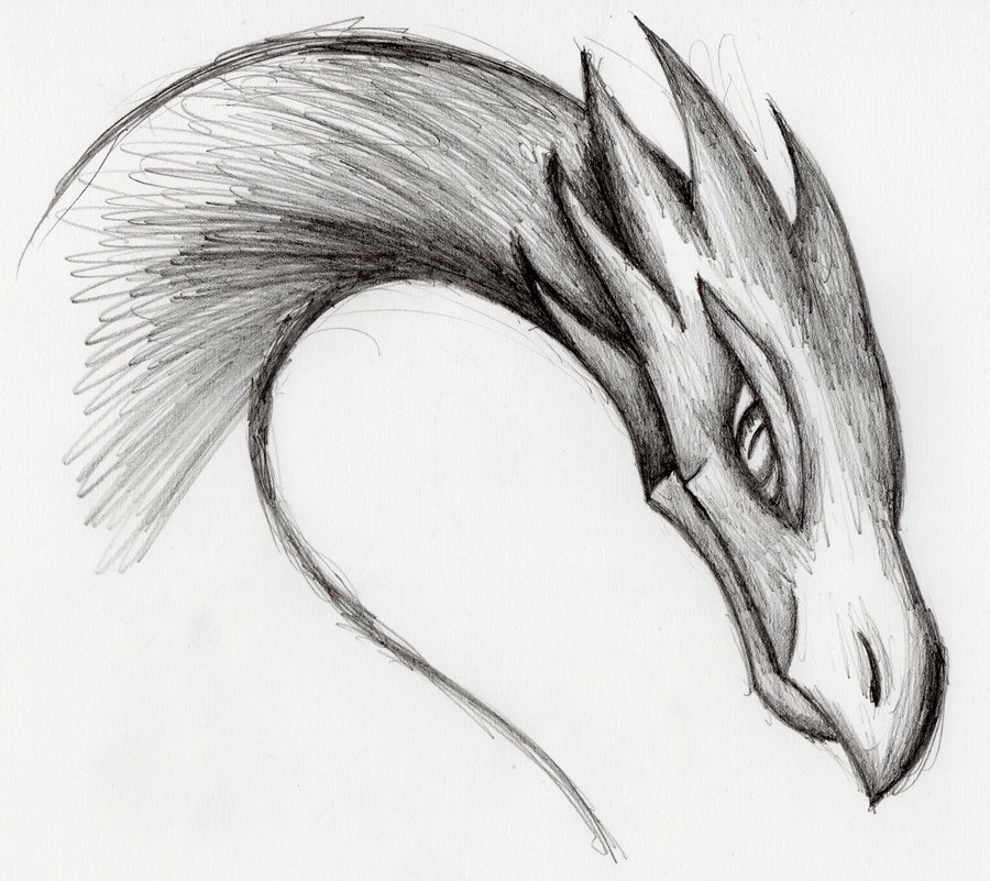 Drawings Of Dragons Cliparts.co