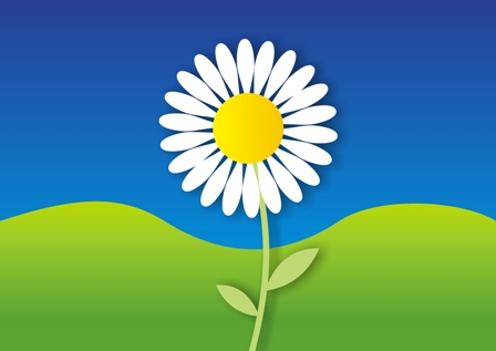 different types of daisies | types of daisy flowers | daisy clipart