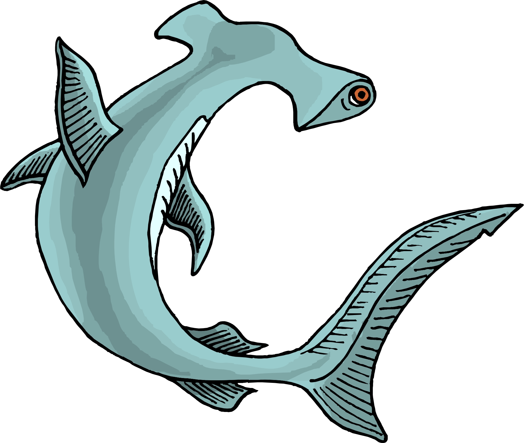 Cartoon Hammerhead Shark Images & Pictures - Becuo