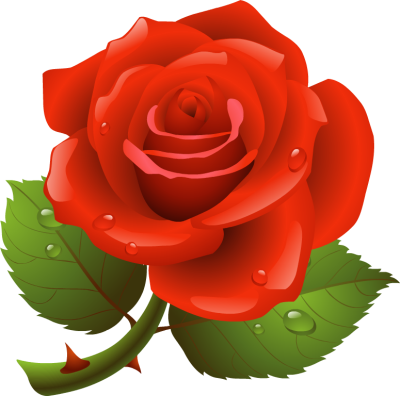 Fotor Rose Clip Art - Rose Clip Art Online for Free | Fotor Photo ...