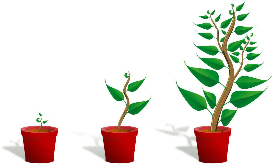 Plant 2 Growing xochi.info Art Clip Art ClipArt clipartist.net ...