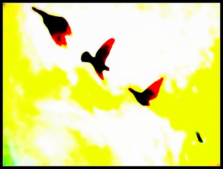 Flying Birds by Sweta leena Panda - Flying Birds Painting - Flying ...