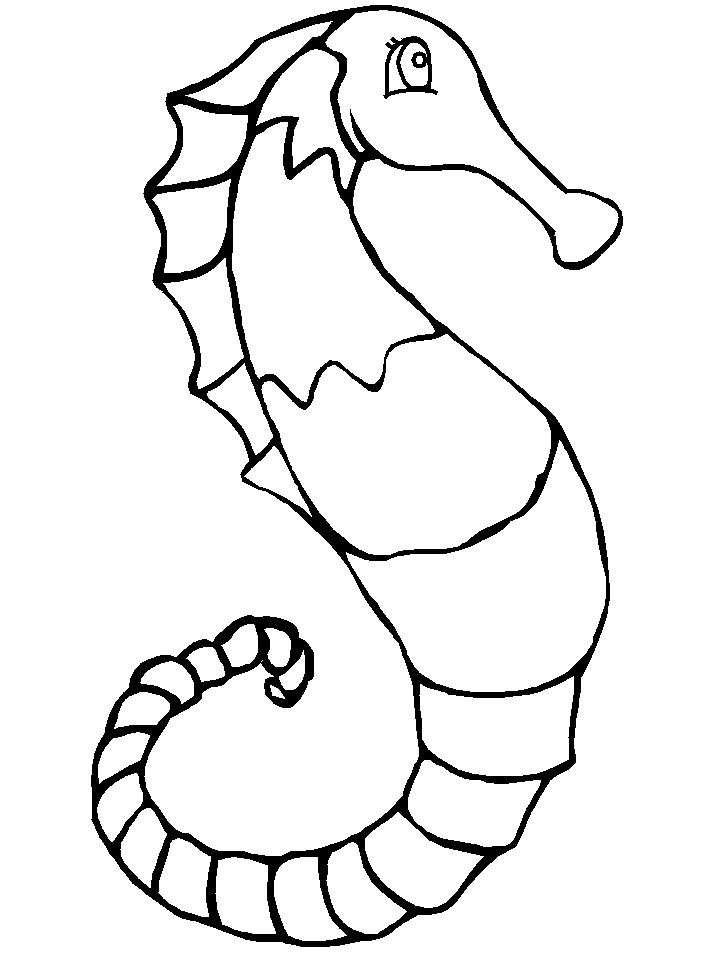 Seahorse Coloring Pages Images & Pictures - Becuo