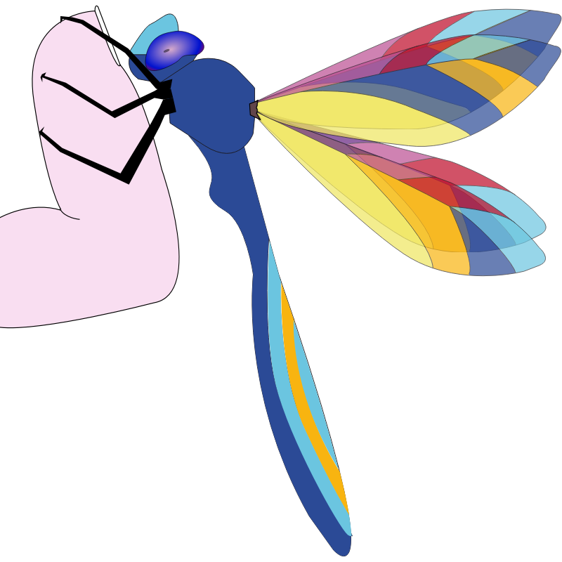 clipart dragonfly - photo #22