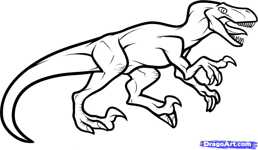 How to Draw a Velociraptor Dinosaur, Step by Step, Dinosaurs ...