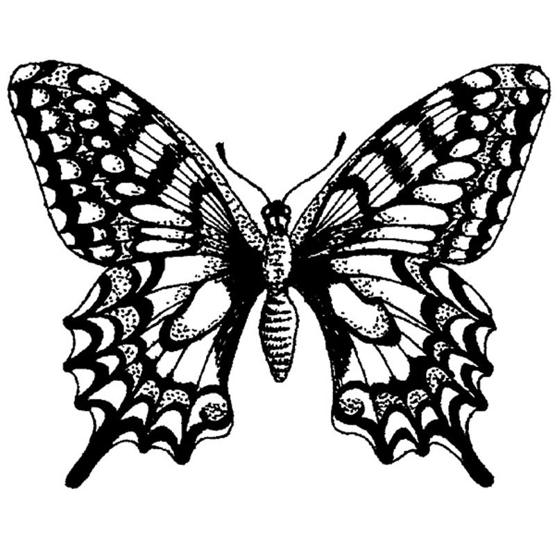 Personal Impressions Swallowtail Rubber Stamp | Hobbycraft