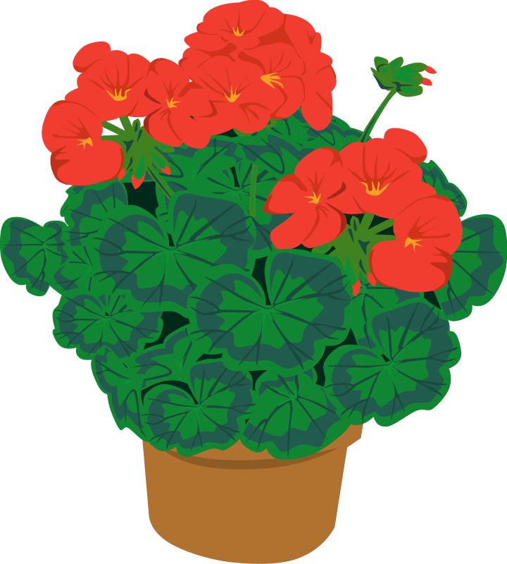 Pot Flower Clip Art Download