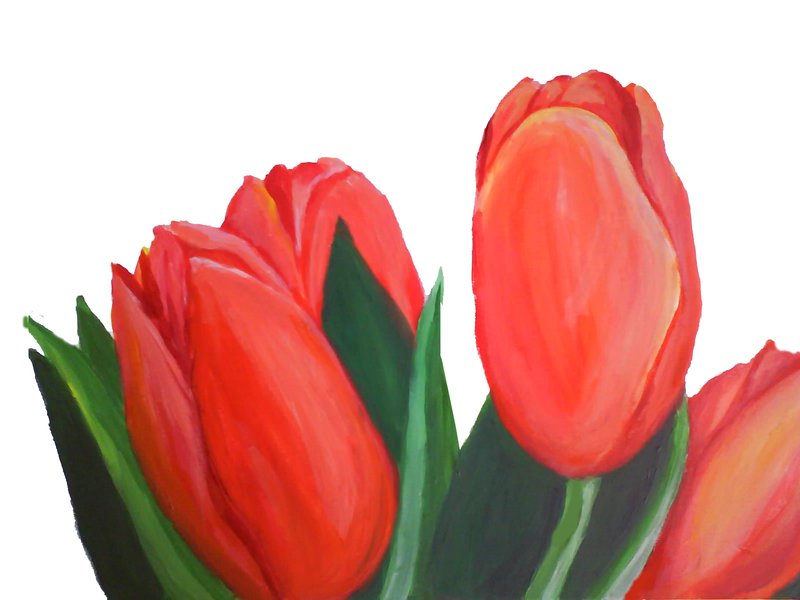 Tulips for Dana by bluenique on deviantART