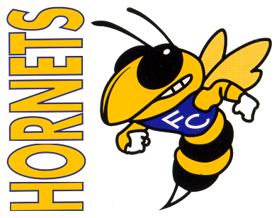 Hornet Cartoon Football Images & Pictures - Becuo