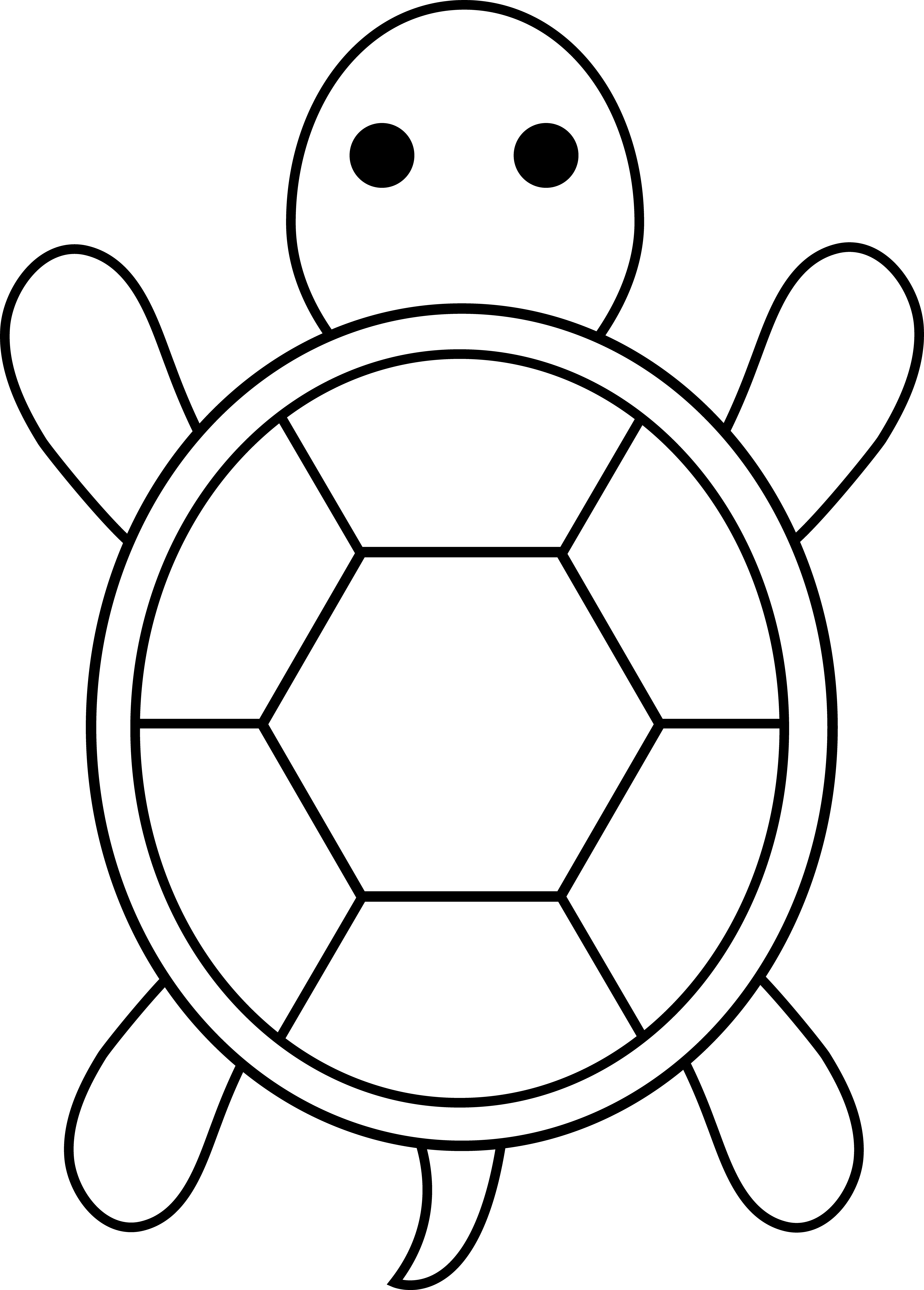 Turtle Images Free - Cliparts.co
