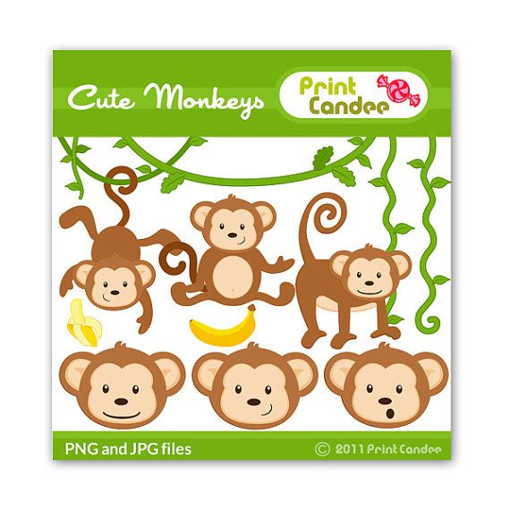 Cute Monkeys - Digital Clip Art - Personal and Commercial Use - jungl…
