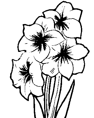 Clip Art Of Flowers Bouquet | Clipart Panda - Free Clipart Images