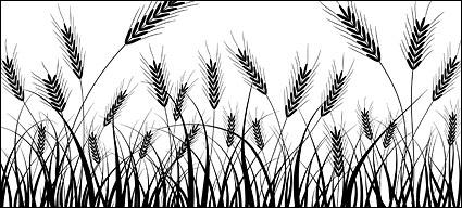 Wheat silhouettes vector material - Download free Other vectors