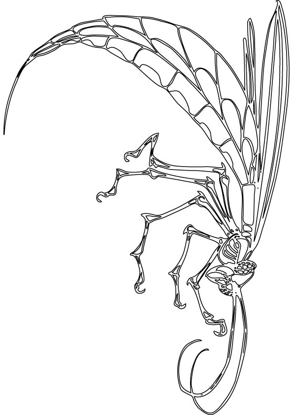 Pin Insects Coloring Pages These Pictures Are Online on Pinterest