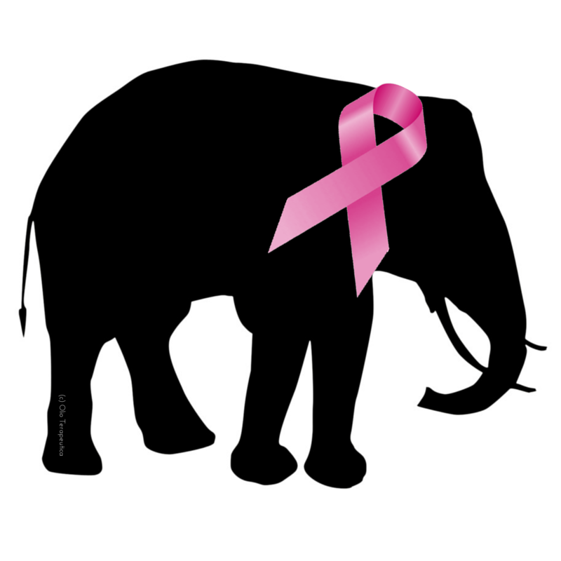 Pictures Of Pink Elephants - Cliparts.co