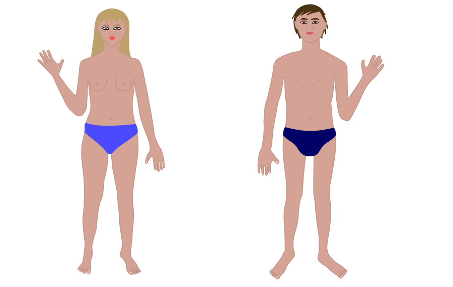 Human Clipart Images