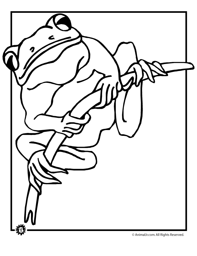 Frog Coloring Pages Tree Page Animal Jr Tattoo