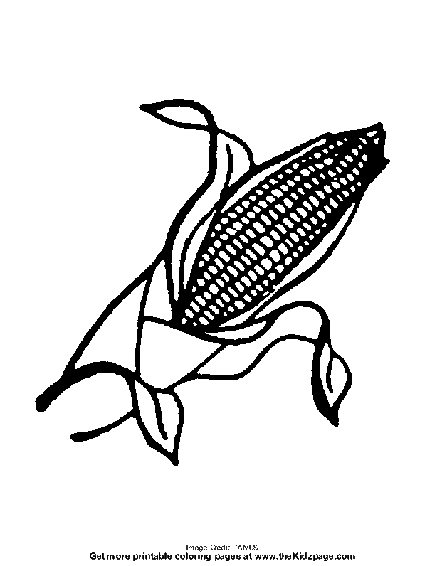 Corn on the Cob - Free Coloring Pages for Kids - Printable ...