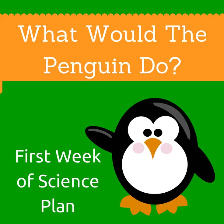 Starting the Year Off Right: Science Ideas for Week One