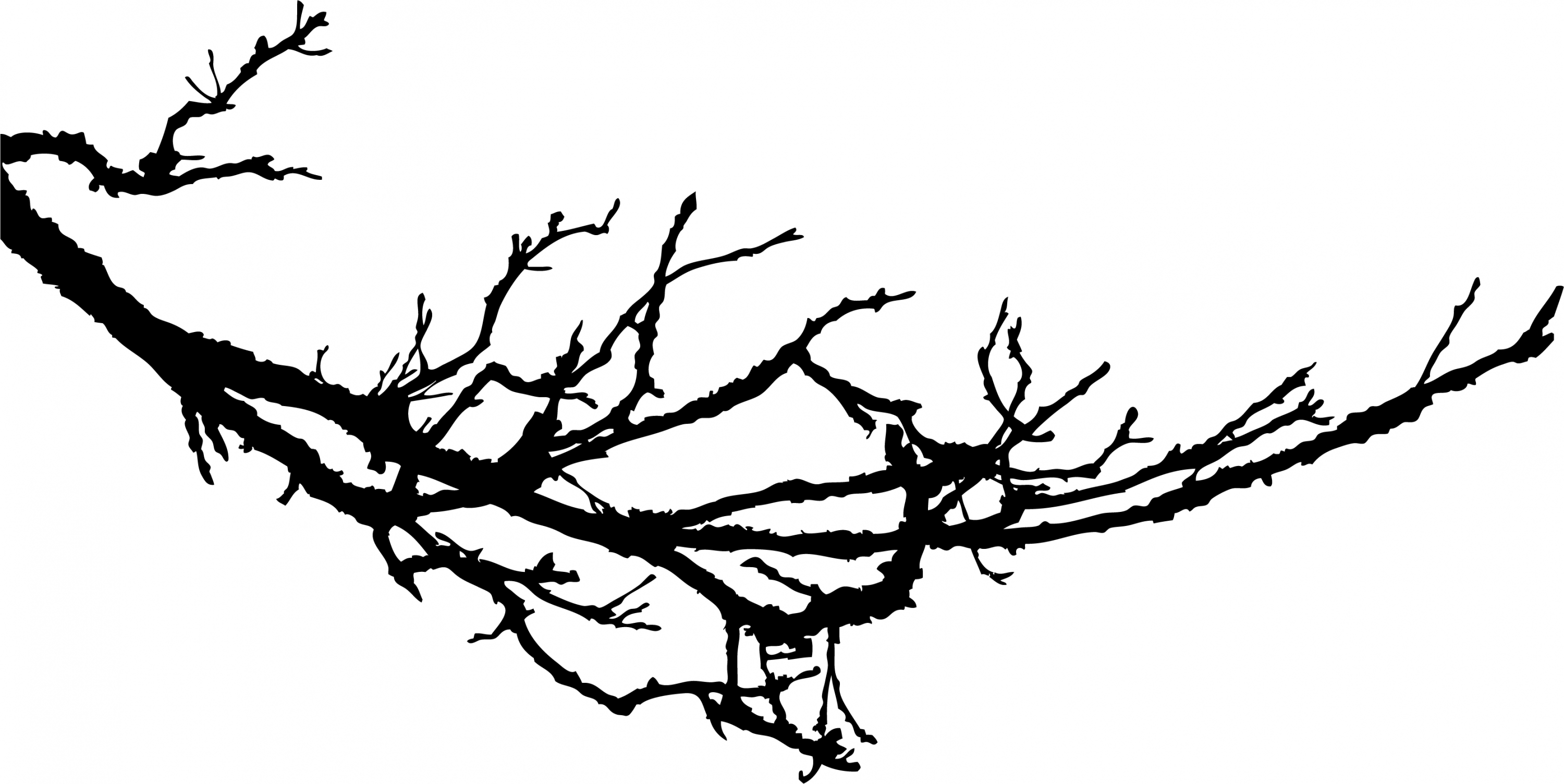 Tree Branch Silhouette - ClipArt Best