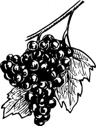 Grapes clip art - Download free Other vectors