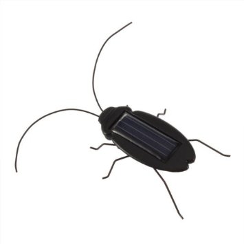 Amazon.com: Great Deal Solar energy power Locust Cockroach Toy for ...