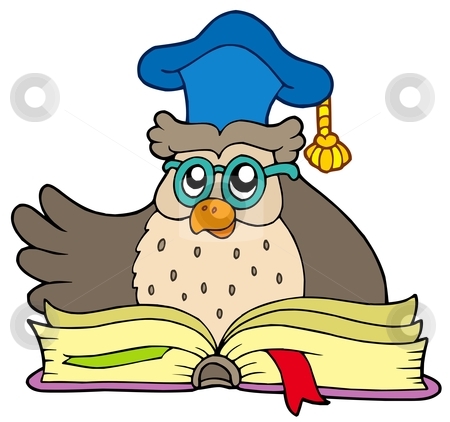 Cartoon owl teacher with book stock vector