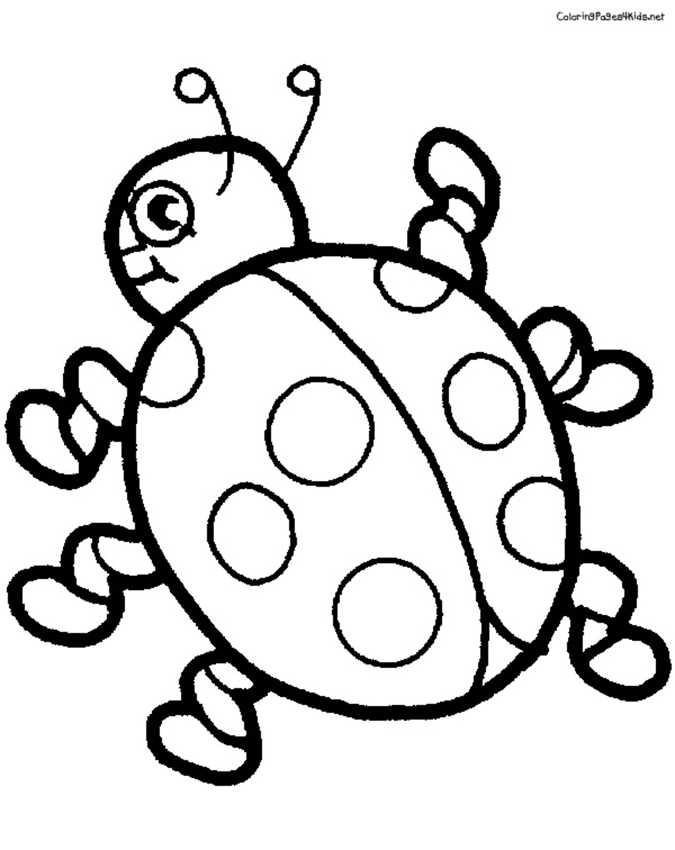 Trends For > Cute Ladybug Coloring Pages